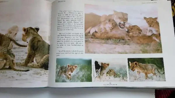 Ousus Lady of the Kalahari-First Edition - Image 3
