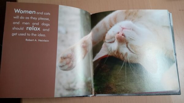 Quotable Cats  by Milly Brown - Image 3