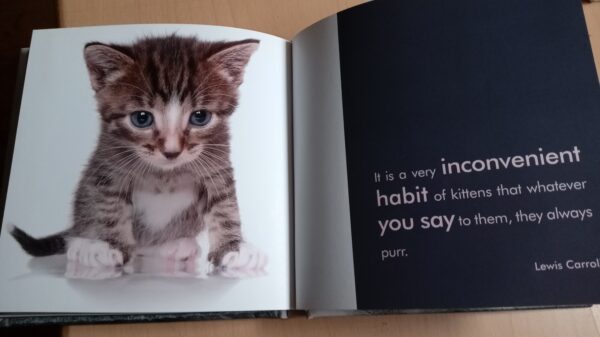 Quotable Cats  by Milly Brown - Image 2