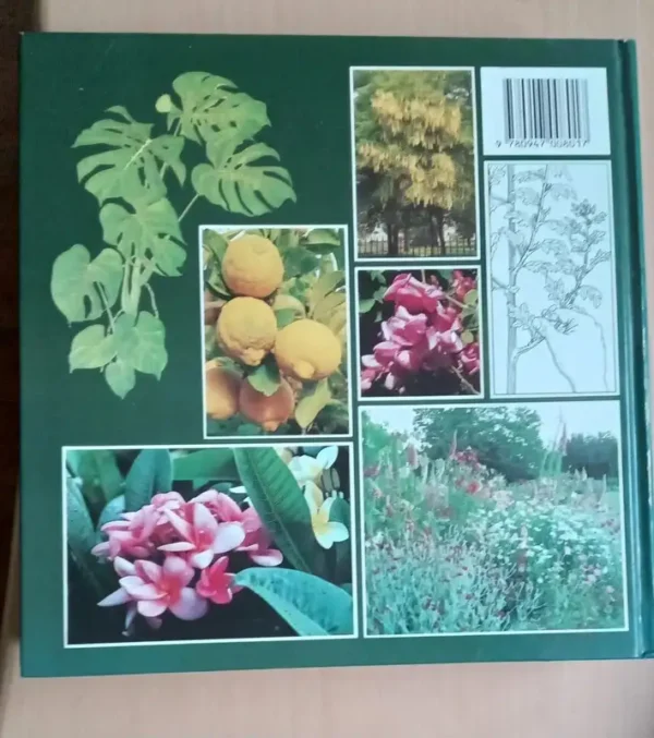 Illustrated Encyclopaedia of Gardening in South Africa  Readers Digest - Image 2