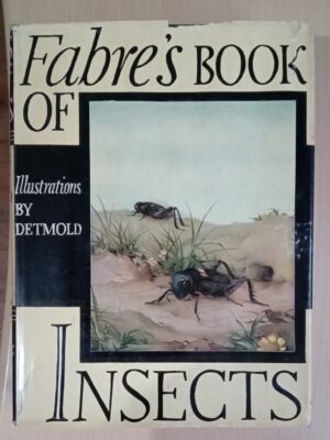 Fabre's Book of Insects 1936 E J Detmold Tipped-In Illustrated Plates