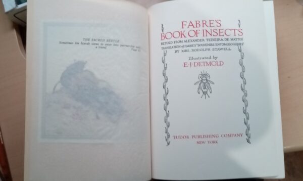 Fabre's Book of Insects 1936 E J Detmold Tipped-In Illustrated Plates - Image 8