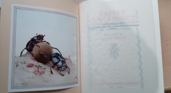 Fabre's Book of Insects 1936 E J Detmold Tipped-In Illustrated Plates - Image 9