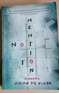 Not to Mention: A Novel (Vivian De Klerk)