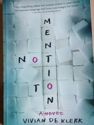 Not to Mention: A Novel (Vivian De Klerk)