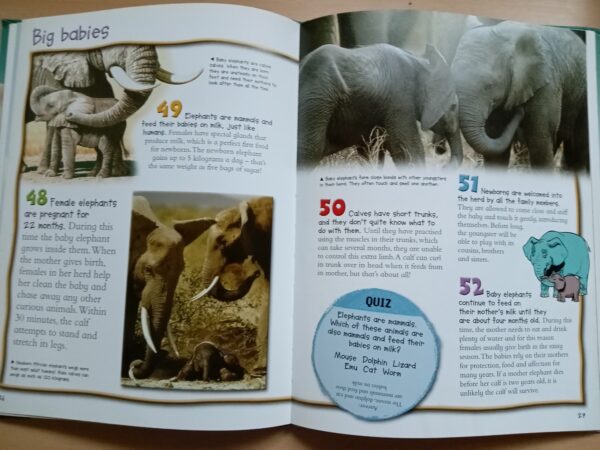 100 Things you should know about Elephants (de la Bedoyere) - Image 4