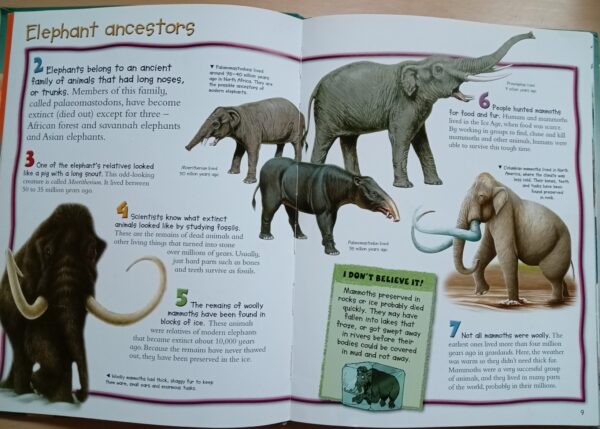 100 Things you should know about Elephants (de la Bedoyere) - Image 5