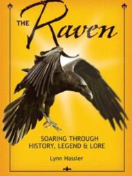 The Raven: Soaring Through History, Legend, & Lore  by Lynn Hassler Kaufman