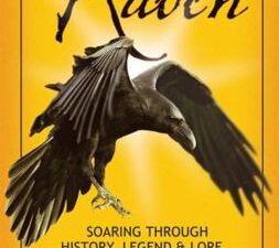 The Raven: Soaring Through History, Legend, & Lore  by Lynn Hassler Kaufman
