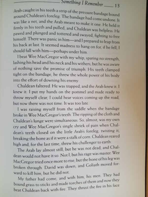 The Splendid Outcast by Beryl Markham - Image 6