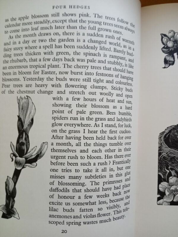 Four Hedges:  Clare Leighton 1935 1st Edition - Image 10