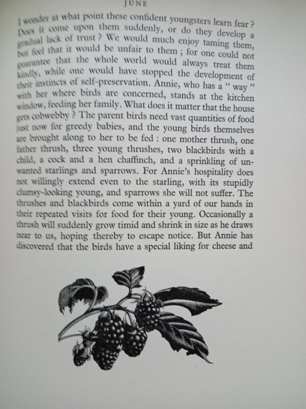 Four Hedges:  Clare Leighton 1935 1st Edition - Image 12