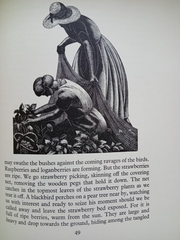 Four Hedges:  Clare Leighton 1935 1st Edition - Image 13