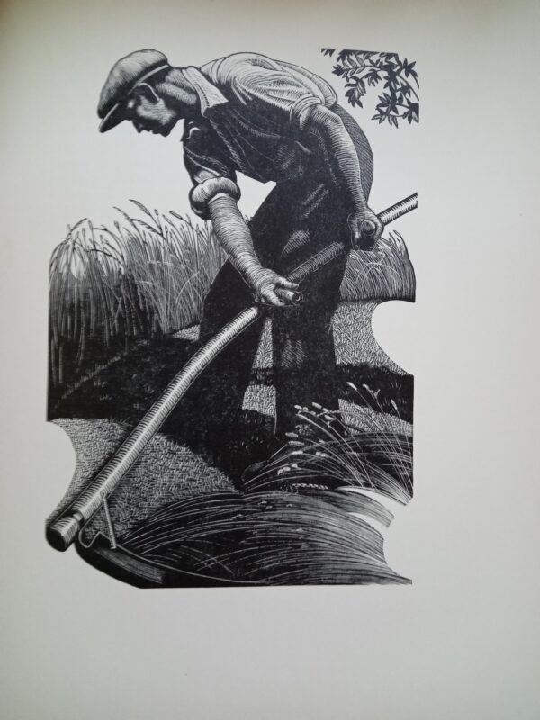 Four Hedges:  Clare Leighton 1935 1st Edition - Image 14