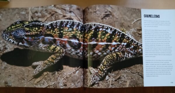 Burnt Vanilla : A Paddle to and a journey Through Madagascar by -David Grier[SIGNED] - Image 6