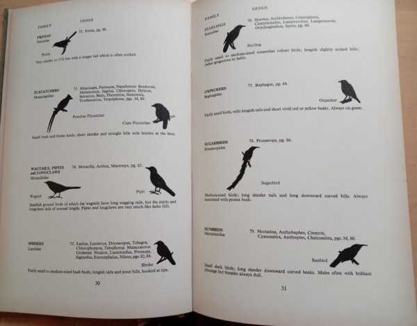 The Birds Around Us: The commoner birds of Southern Africa By G J Broekhuysen - Image 2