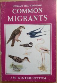 Longman's Field Handbook Common Migrants by J.M. Winterbottom