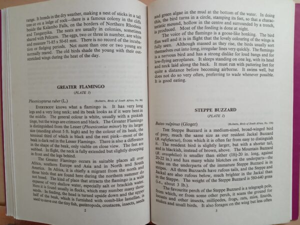 Longman's Field Handbook Common Migrants by J.M. Winterbottom - Image 7