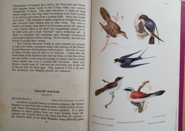Longman's Field Handbook Common Migrants by J.M. Winterbottom - Image 8