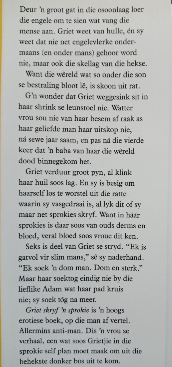 Griet Skryf 'n Sprokie-Marita van der Vyver - Image 5