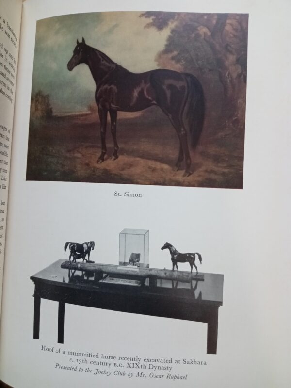 The Jockey Club by MORTIMER, Roger-1958 - Image 10