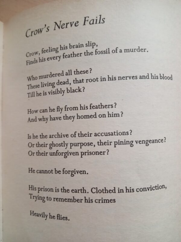 Crow: From the Life and Songs of the Crow - Ted Hughes - Image 9