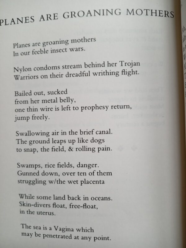 The American Night: the Writings of Jim Morrison, Volume 2 - Image 3