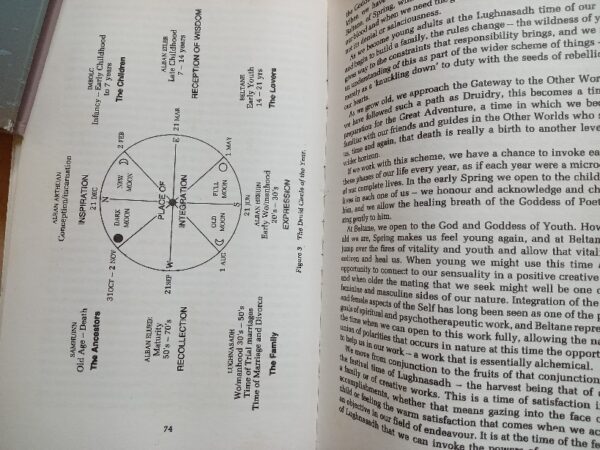 The Elements of the Druid Tradition-Philip Carr-Gomm - Image 11