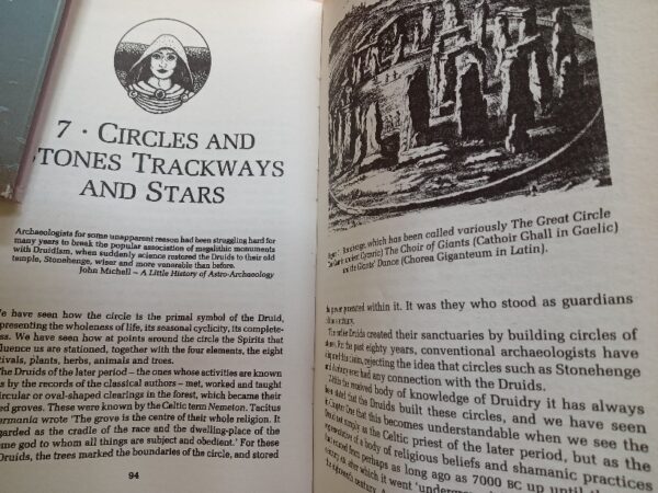 The Elements of the Druid Tradition-Philip Carr-Gomm - Image 12