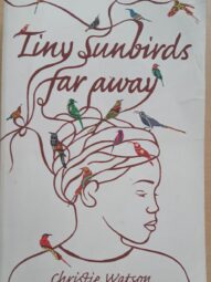 Tiny Sunbirds, Far Away - Christie Watson