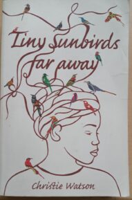 Tiny Sunbirds, Far Away - Christie Watson