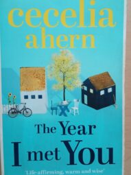 The Year I Met You - Cecelia Ahern