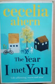 The Year I Met You - Cecelia Ahern