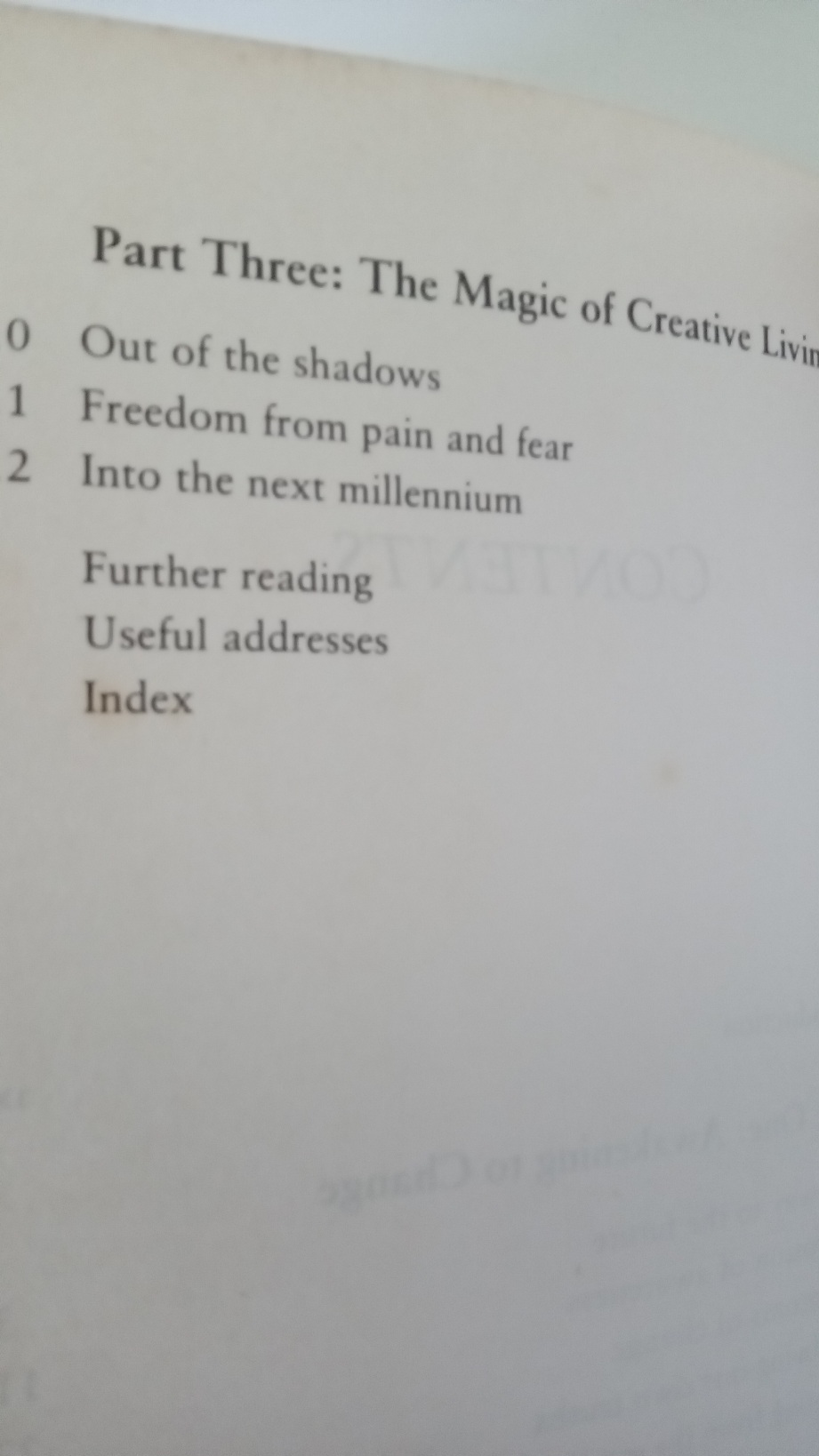 Awakening to Change - Soozi Holbeche - Image 5