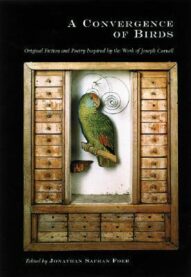 A Convergence of Birds: Original Fiction and Poetry - Jonathan Safran Foer