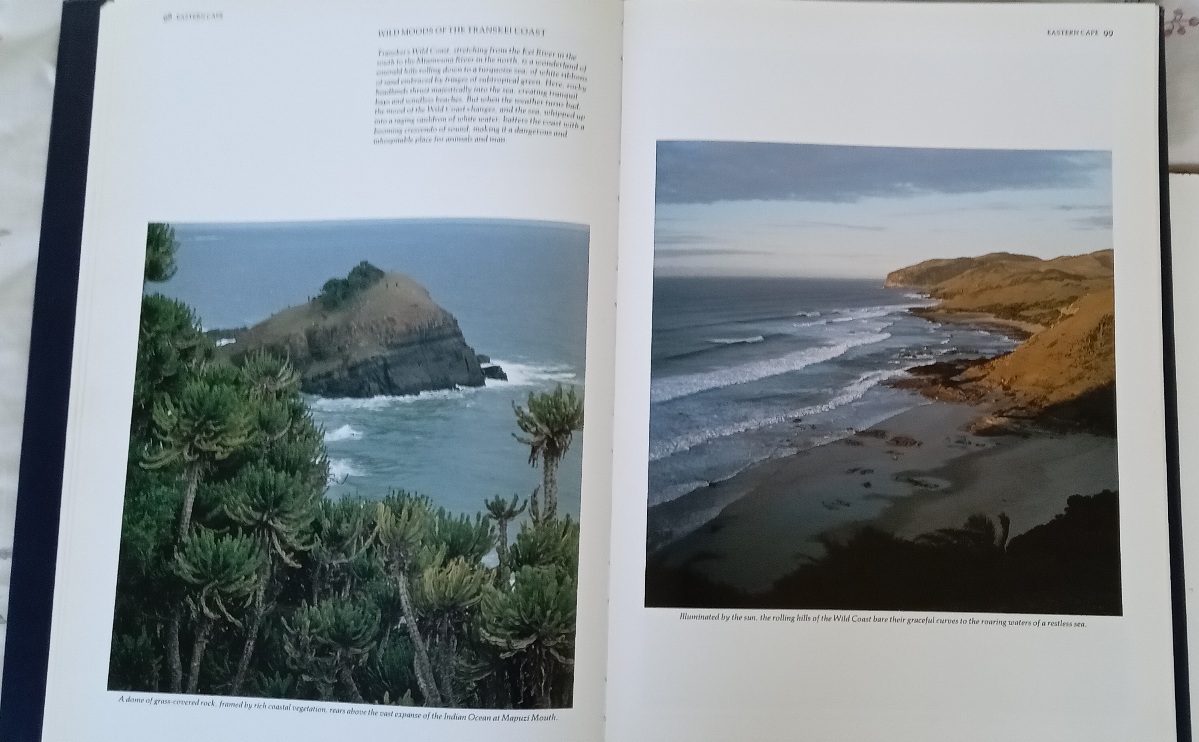 South Africa: Magnificent Land - Reader's Digest Association - Image 8