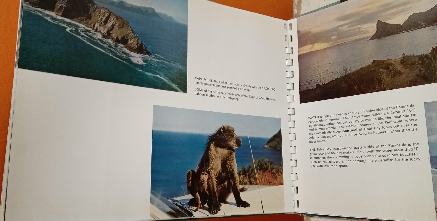 The Cape: A Collection of Photographs - T.V.Bulpin and Terence McNally - Image 7