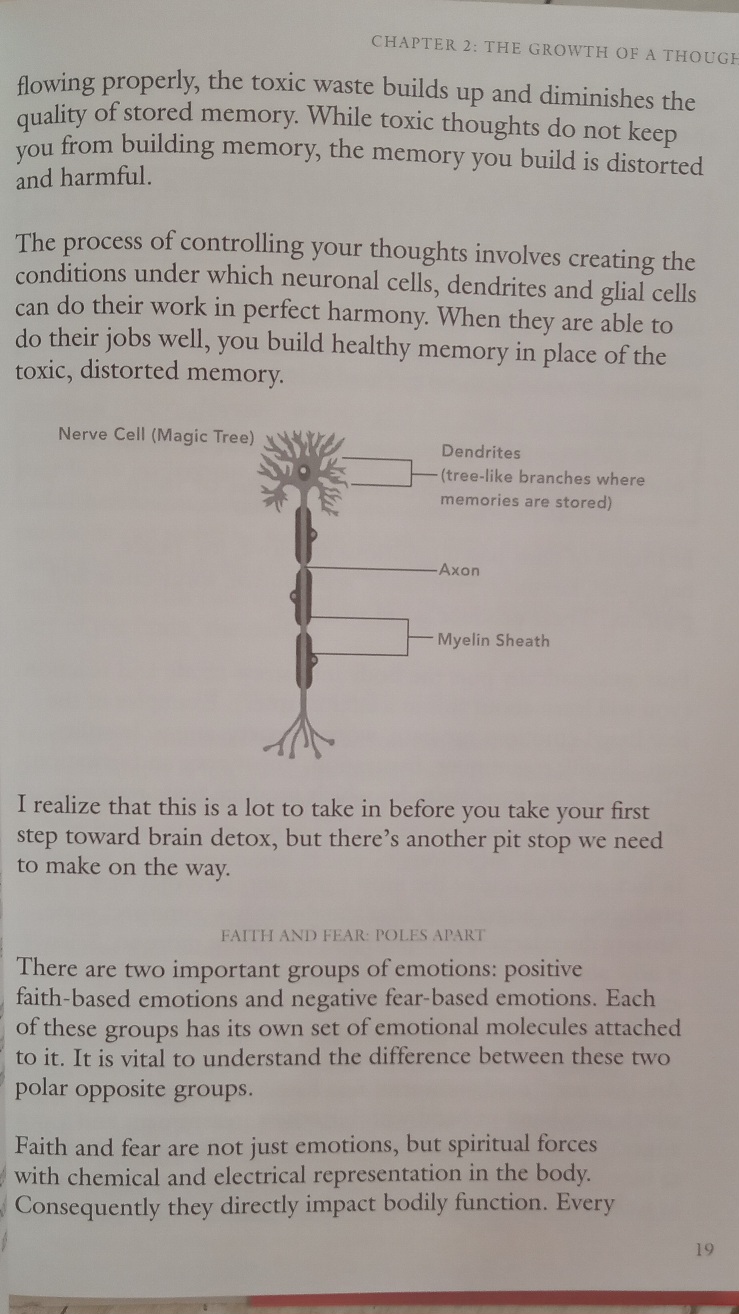 Who Switched Off My Brain? - Dr. Caroline Leaf - Image 6