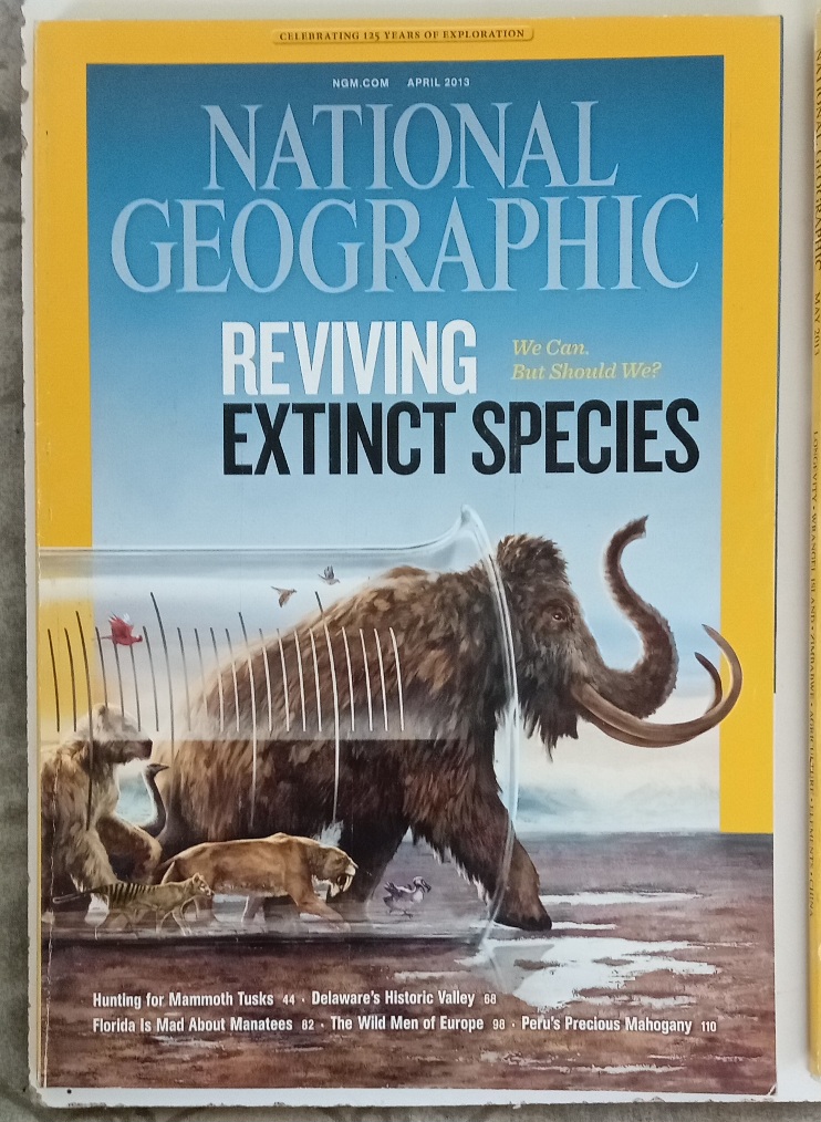 National Geographic 2013 (October and November missing) - Image 5
