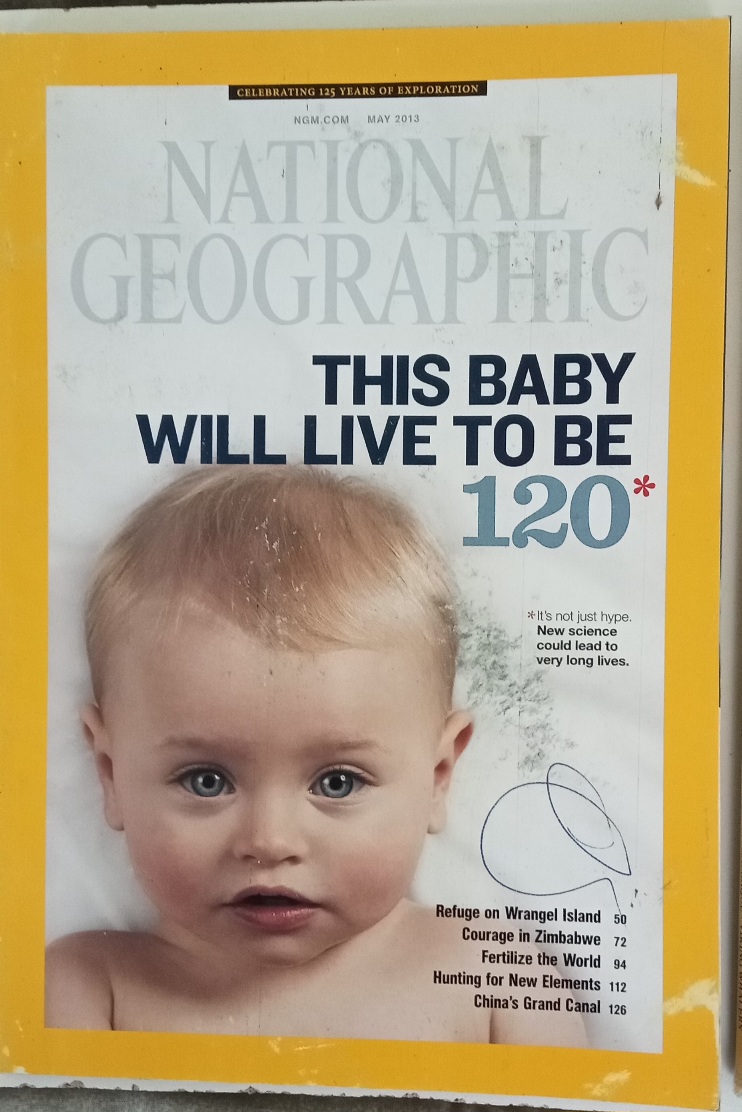 National Geographic 2013 (October and November missing) - Image 6