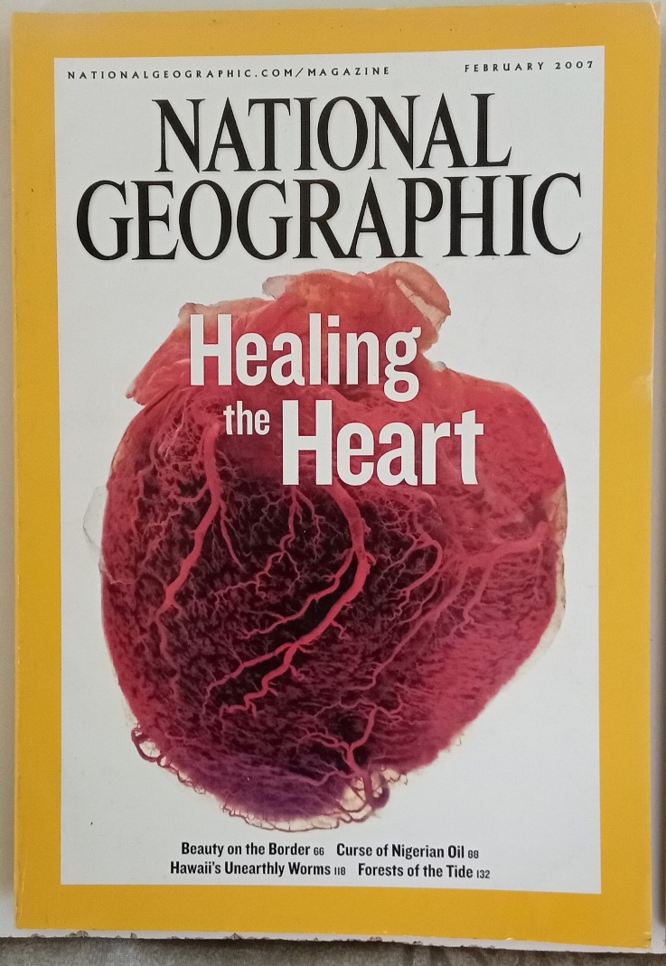National Geographic 2007 (July and November missing) - Image 3
