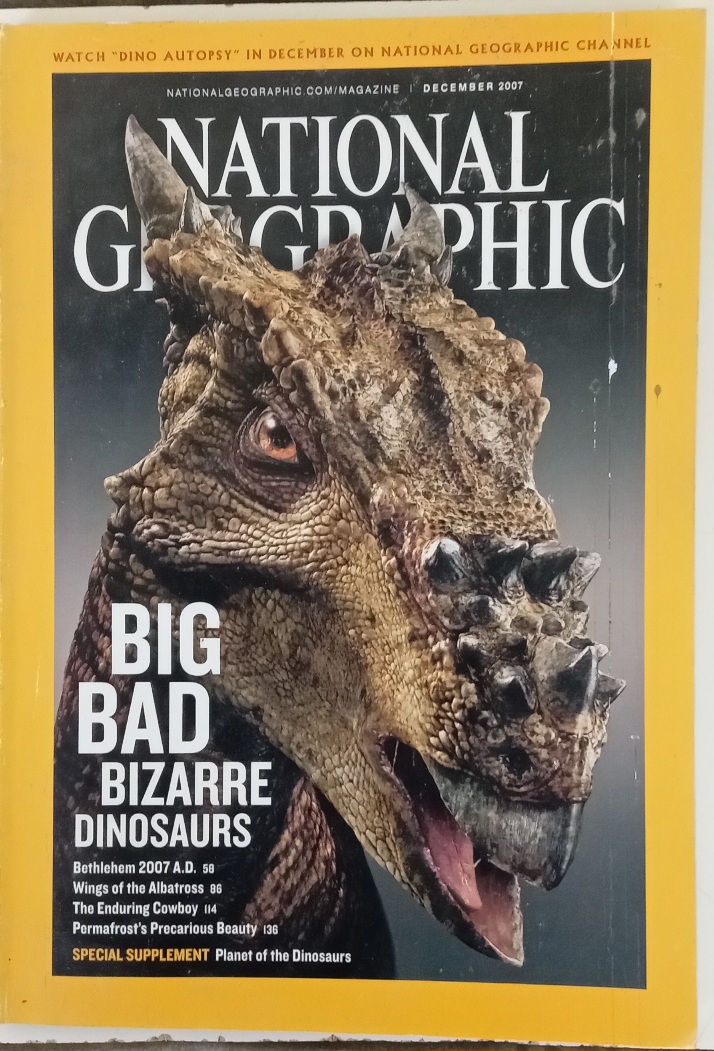 National Geographic 2007 (July and November missing) - Image 11