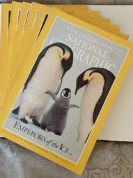 National Geographic 1996 (Jan.,Feb.,Apr.,Aug.,Sept. and December missing)