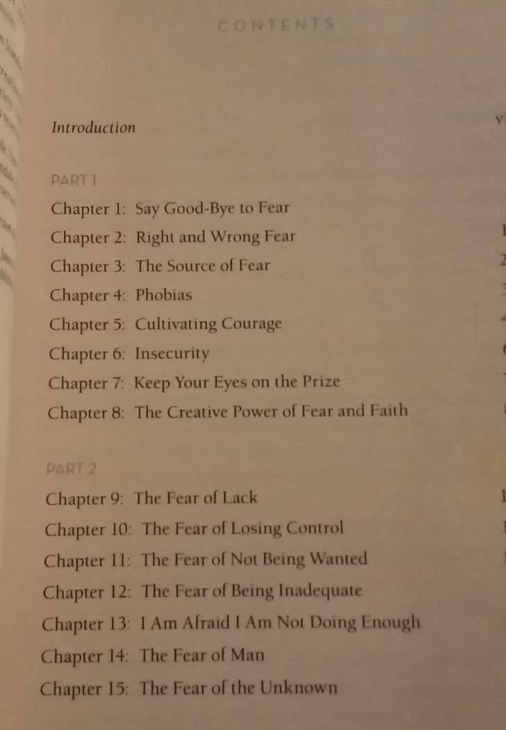 Living Courageously - Joyce Meyer - Image 3