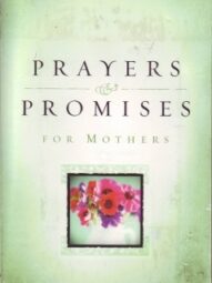 Prayers and Promises for Mothers - Rachel Quillin
