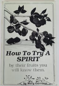 How to Try a Spirit - Mary Garrison