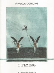I Flying - Finuala Dowling