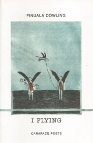 I Flying - Finuala Dowling